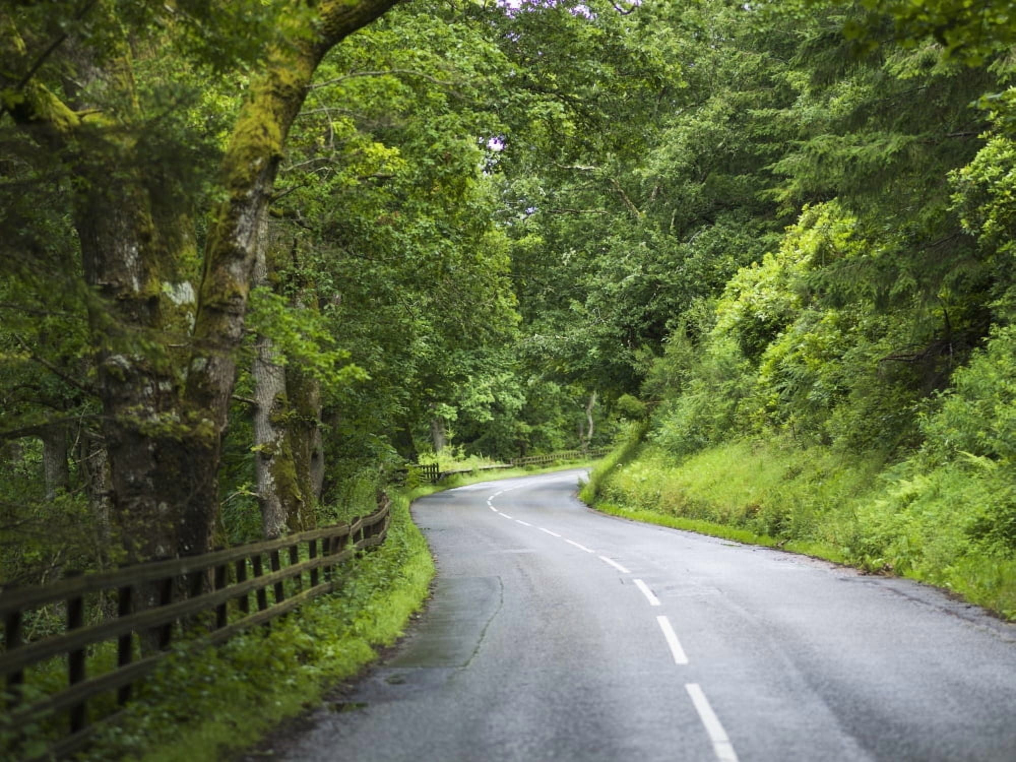 A road lined with lush trees and foliage and a wooden fence Dunkeld Perth and Kinross Scotland Canvas Art - Keith Levit Design Pics (34 x 26)