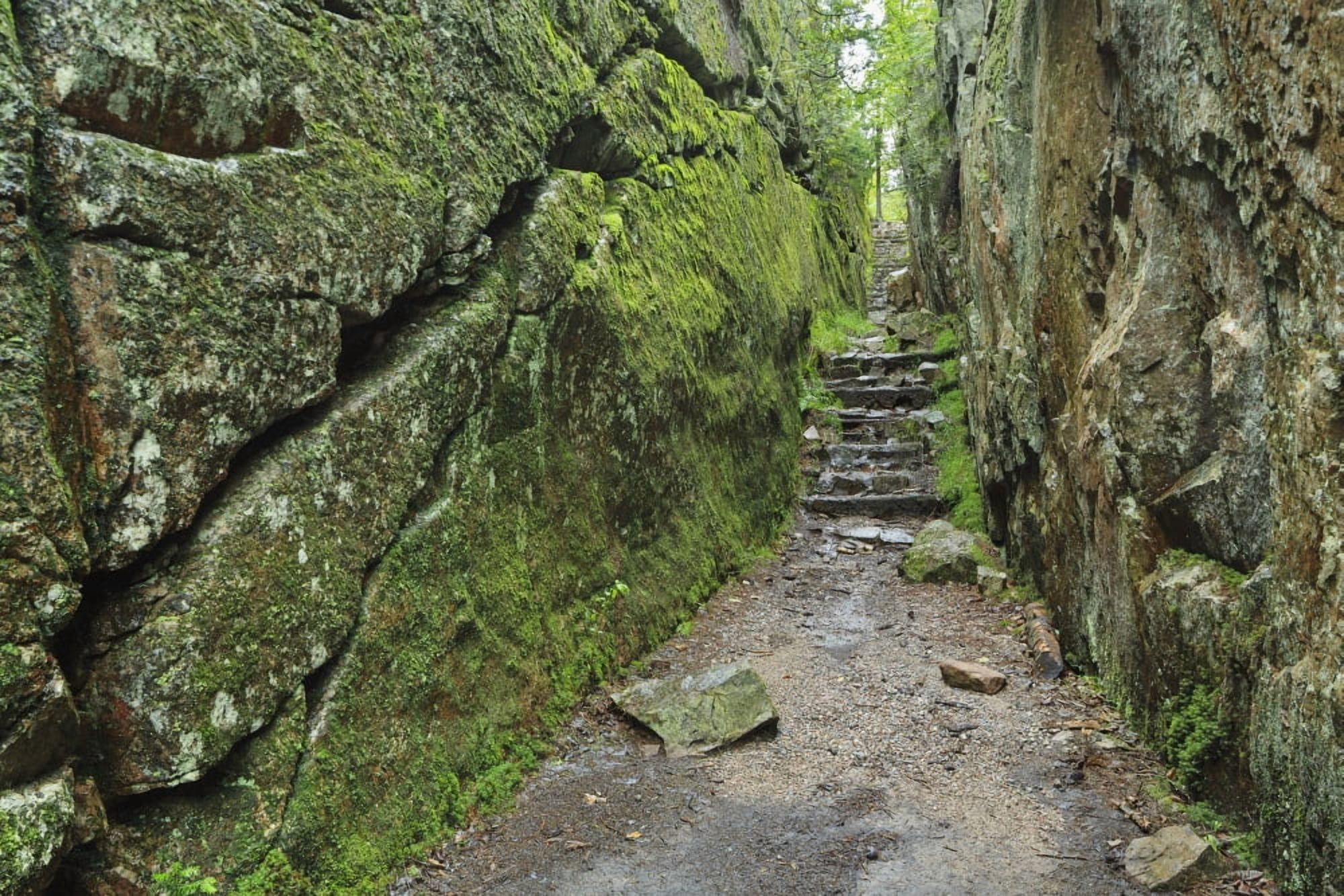 A rock face trail leading to Agawa Bay Lake Superior Provincial Park Ontario Canada Canvas Art - Ken Gillespie  Design Pics (38 x 24)