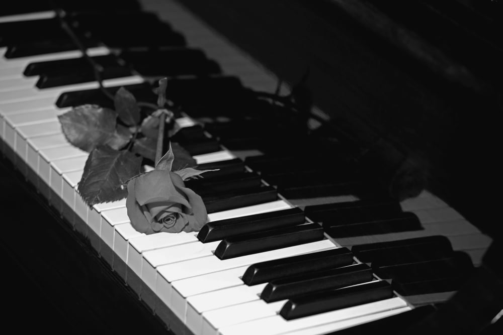 A rose on a piano keyboard Waterloo Quebec Canada Canvas Art - David Chapman Design Pics (19 x 12)