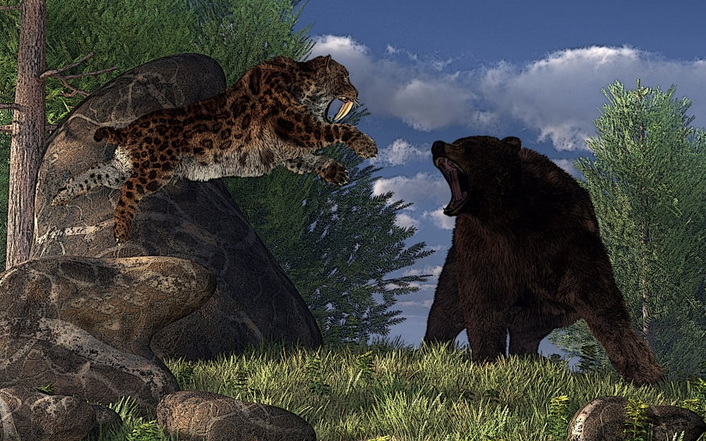 A saber-toothed cat leaps at a grizzly bear on a mountain path Canvas Art - Daniel EskridgeStocktrek Images (18 x 12)
