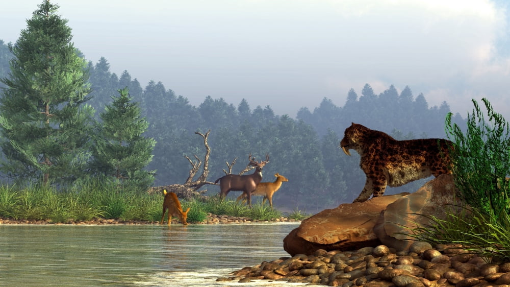A saber-toothed cat looks across a river at a family of deer Canvas Art - Daniel EskridgeStocktrek Images (19 x 11)