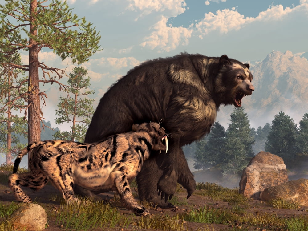 A saber-toothed cat tries to drive a short-faced bear out of its territory Canvas Art - Daniel EskridgeStocktrek Images (17 x 13)