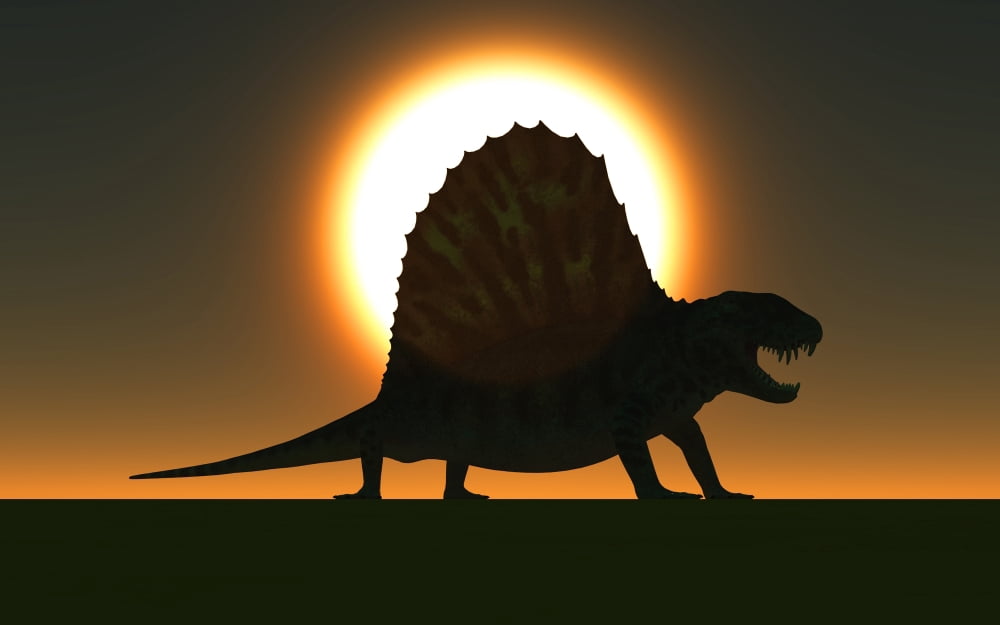 A sail-backed Dimetrodon from Earths Permian period of time Canvas Art - Mark StevensonStocktrek Images (18 x 12)