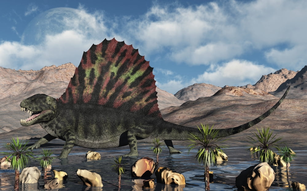 A sail-backed Dimetrodon from Earths Permian period of time Canvas Art - Mark StevensonStocktrek Images (18 x 12)