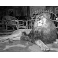 thumbnail image 1 of A scene from Androcles and the Lion Photo Print (24 x 30), 1 of 1