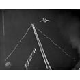 thumbnail image 1 of A scene from Carnival Story Photo Print (24 x 30), 1 of 1