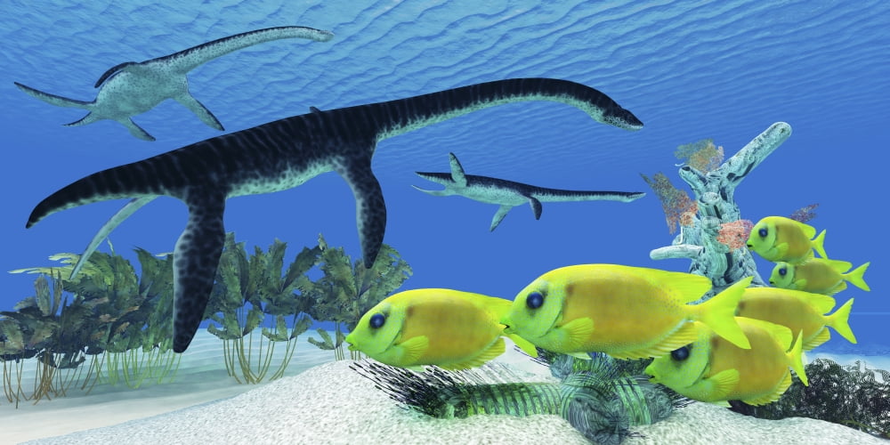 A school of Lemonpeel Angelfish swim by Plesiosaurus dinosaurs Canvas Art - Corey FordStocktrek Images (40 x 20)