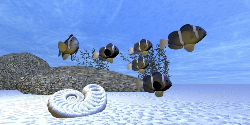 A school of clownfish swim on a beautiful sandy reef Canvas Art - Corey FordStocktrek Images (20 x 10)