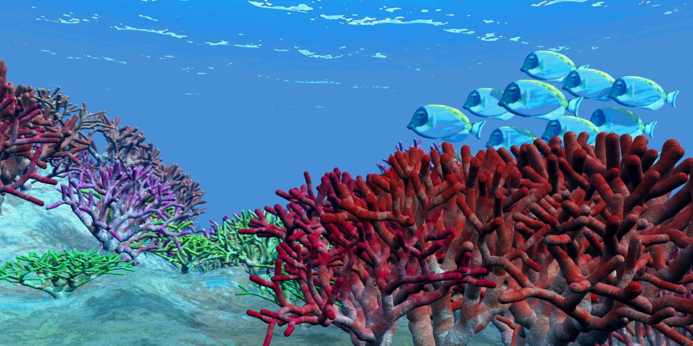 A school of iridescent Blue Tango fish Canvas Art - Corey FordStocktrek Images (20 x 10)