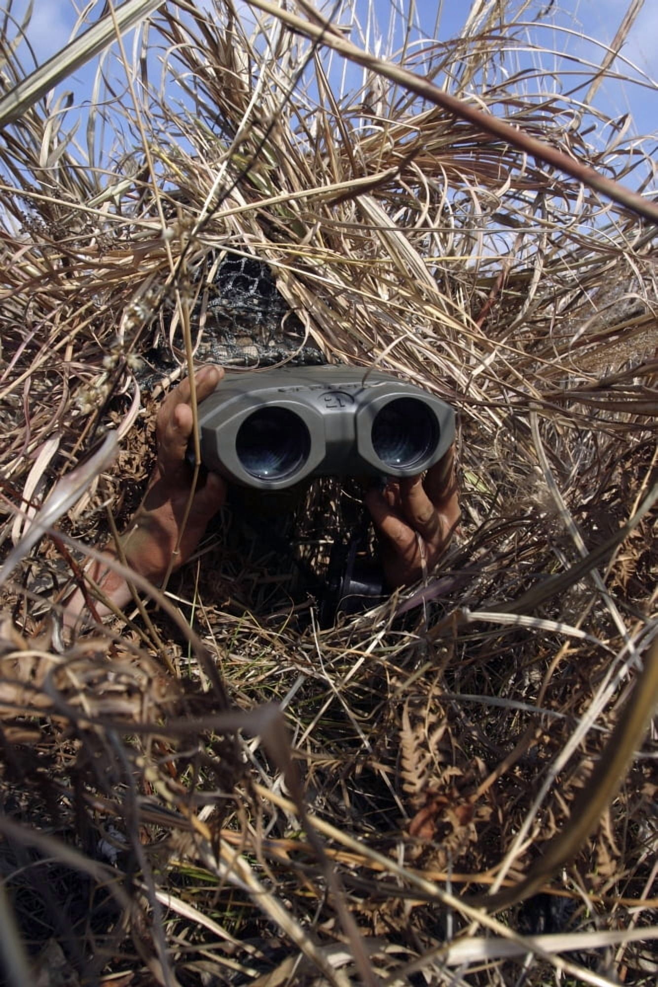 A scout observer practices observation techniques using a homemade ghillie suit Canvas Art - Stocktrek Images (23 x 35)