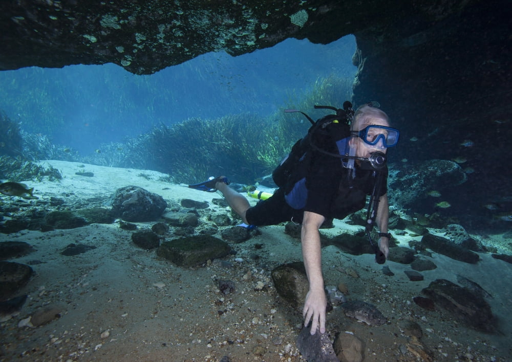 A scuba diver explores the Blue Springs cave in Marianna Florida Canvas Art - Michael WoodStocktrek Images (33 x 24)