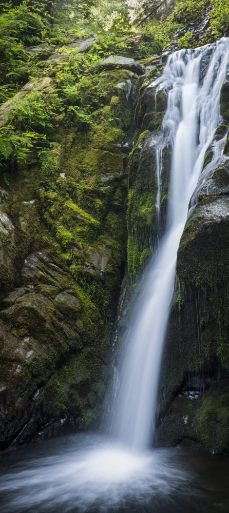A secluded waterfall is found on Necarney Creek Manzanita Oregon United States of America Canvas Art - Robert L Potts Design Pics (10 x 23)