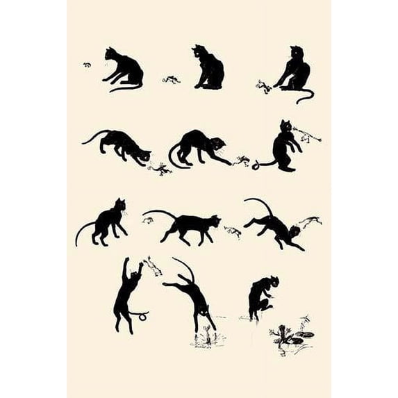 A series of images showing a cat playing with a frog and ending up, all wet. Poster Print by Theophile Steinlen (24 x 36)