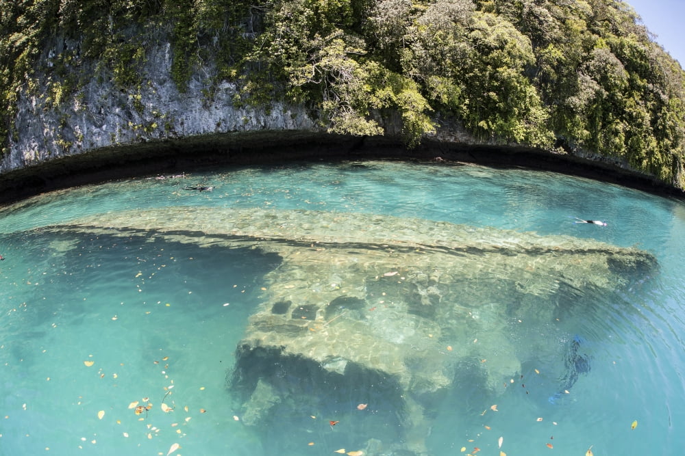 A shipwreck now serves as an artificial reef in Palaus inner lagoon Canvas Art - Ethan DanielsStocktrek Images (17 x 12)