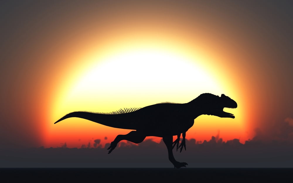 A silhouetted Allosaurus sprinting against a setting Sun at the end of a Jurassic day Canvas Art - Mark StevensonStocktrek Images (36 x 23)