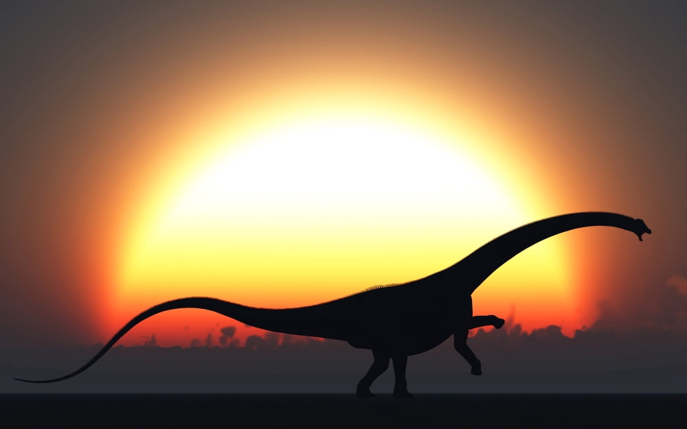 A silhouetted Diplodocus dinosaur takes at the start of a prehistoric day Canvas Art - Mark StevensonStocktrek Images (18 x 12)