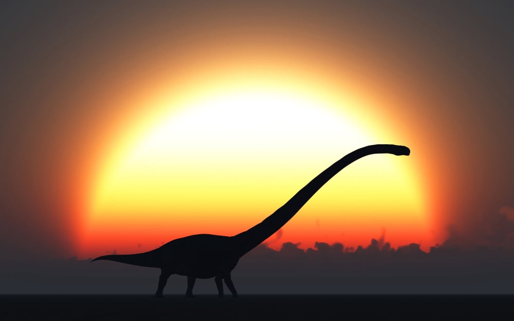 A silhouetted Omeisaurus walks pass the rising Sun at the start of a new day Canvas Art - Mark StevensonStocktrek Images (18 x 12)