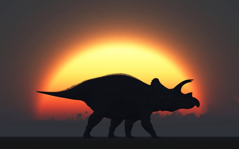 A silhouetted Triceratops strolling past a setting Sun at the end of a prehistoric day Canvas Art - Mark StevensonStocktrek Images (36 x 23)