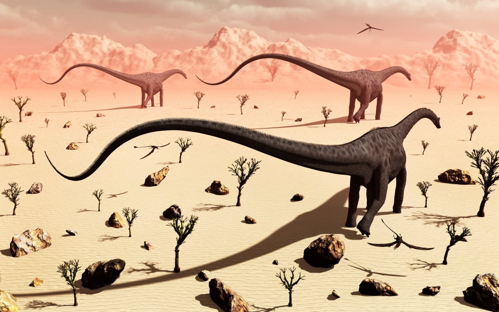 A small group of Diplodocus sauropod dinosaurs Canvas Art - Mark StevensonStocktrek Images (18 x 12)