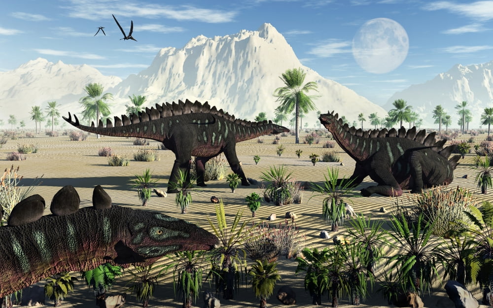 A small group of stegosaurid Miragaia dinosaurs Canvas Art - Mark StevensonStocktrek Images (18 x 12)