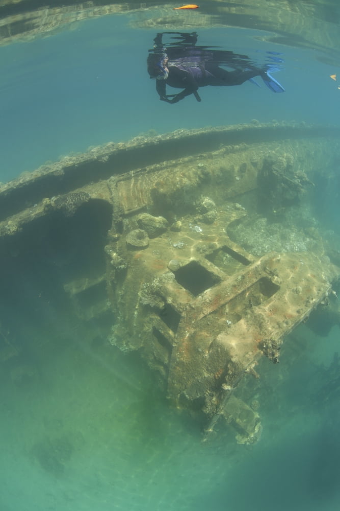 A snorkeler swims above a shipwreck in Palaus inner lagoon Canvas Art - Ethan DanielsStocktrek Images (12 x 17)