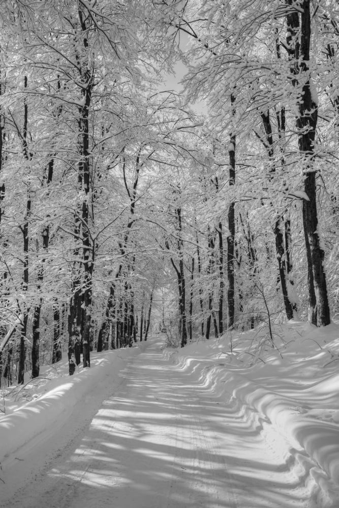 A snow covered road in winter Iron Hill Quebec Canada Canvas Art - David Chapman Design Pics (12 x 19)