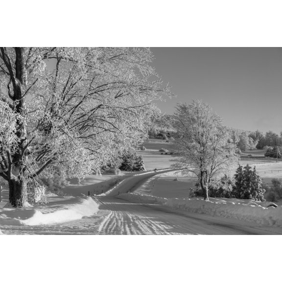 A snow covered road in winter Iron Hill Quebec Canada Canvas Art - David Chapman Design Pics (19 x 12)