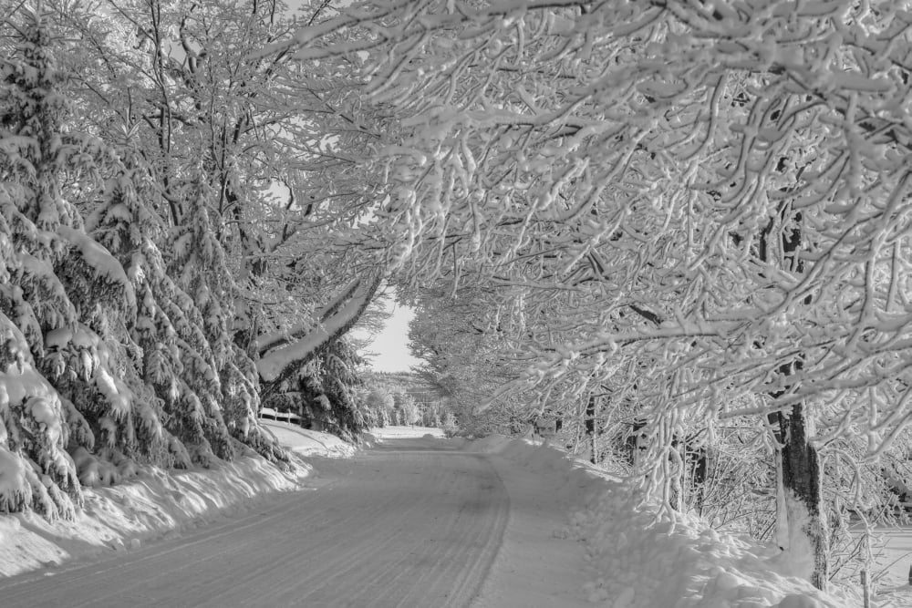 A snow covered road in winter Iron Hill Quebec Canada Canvas Art - David Chapman Design Pics (38 x 24)