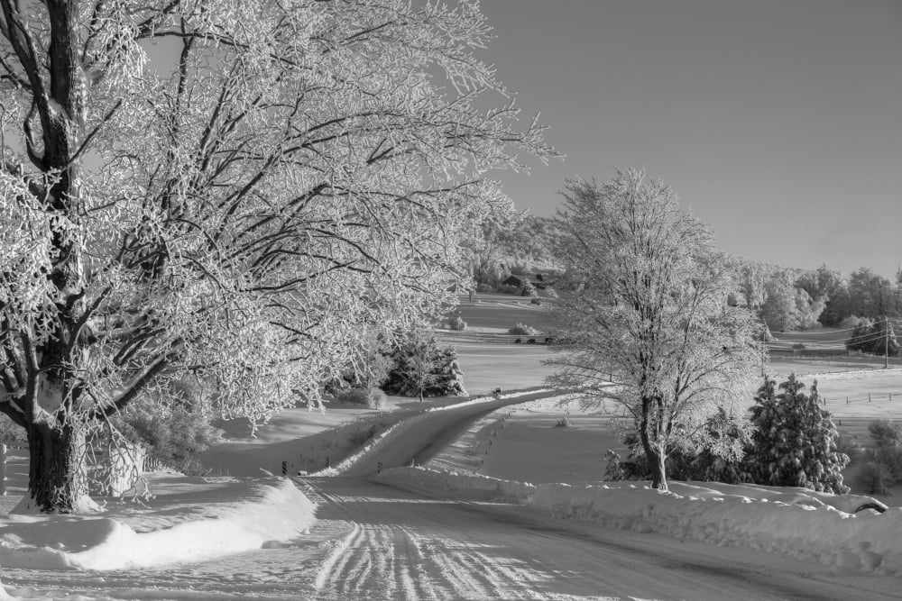 A snow covered road in winter Iron Hill Quebec Canada Canvas Art - David Chapman Design Pics (38 x 24)