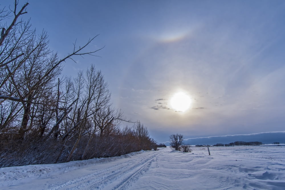A solar halo around the Sun at the end of a snowy country road Canvas Art - Alan DyerStocktrek Images (35 x 23)