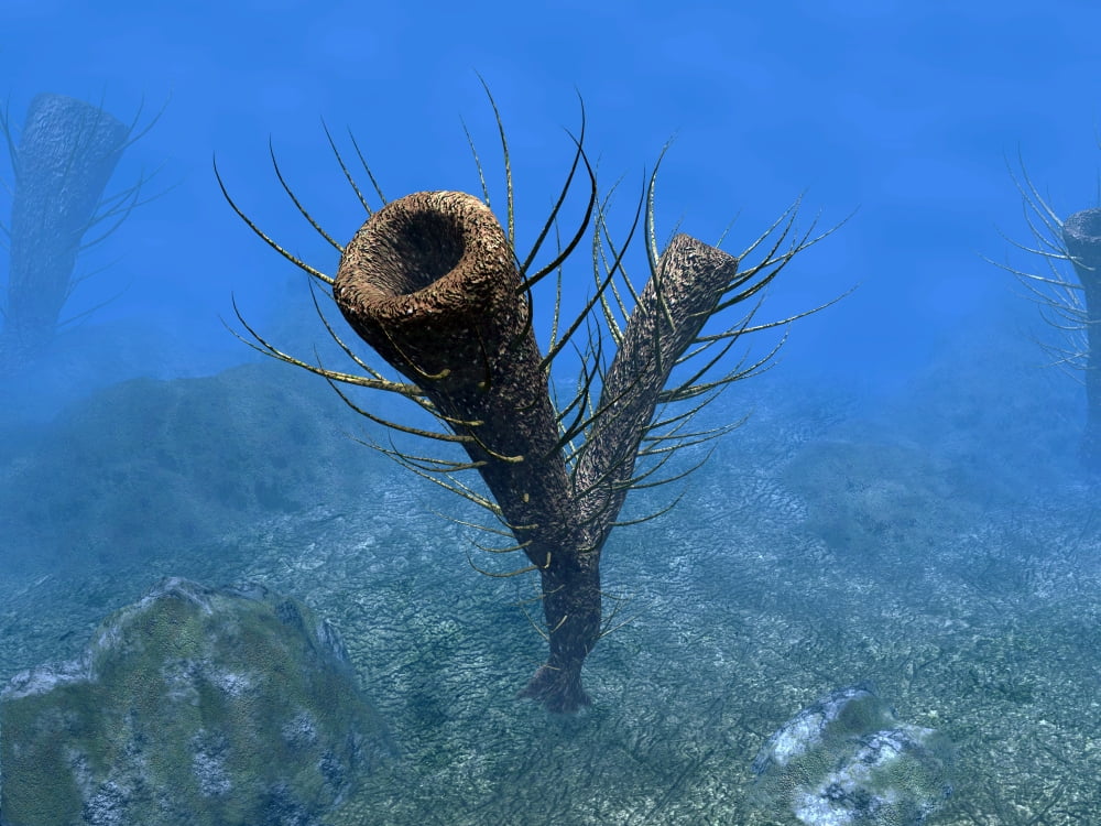 A species of Pirania a primitive sponge that populated the ocean floors 505 million years ago Canvas Art - Walter MyersStocktrek Images (33 x 25)