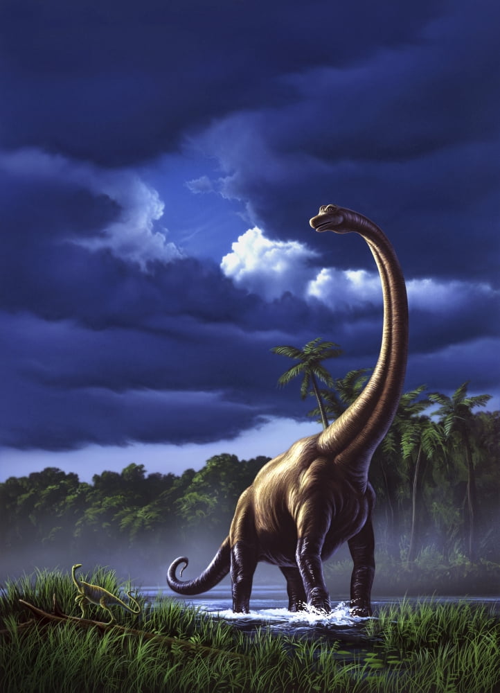 A startled Brachiosaurus splashes through a swamp against a stormy sky Canvas Art - Jerry LoFaroStocktrek Images (12 x 17)