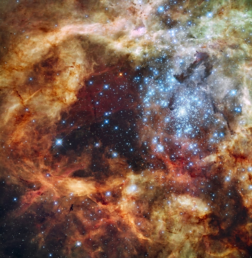 A stellar nursery known as R136 in the 30 Doradus Nebula Canvas Art - Stocktrek Images (28 x 29)