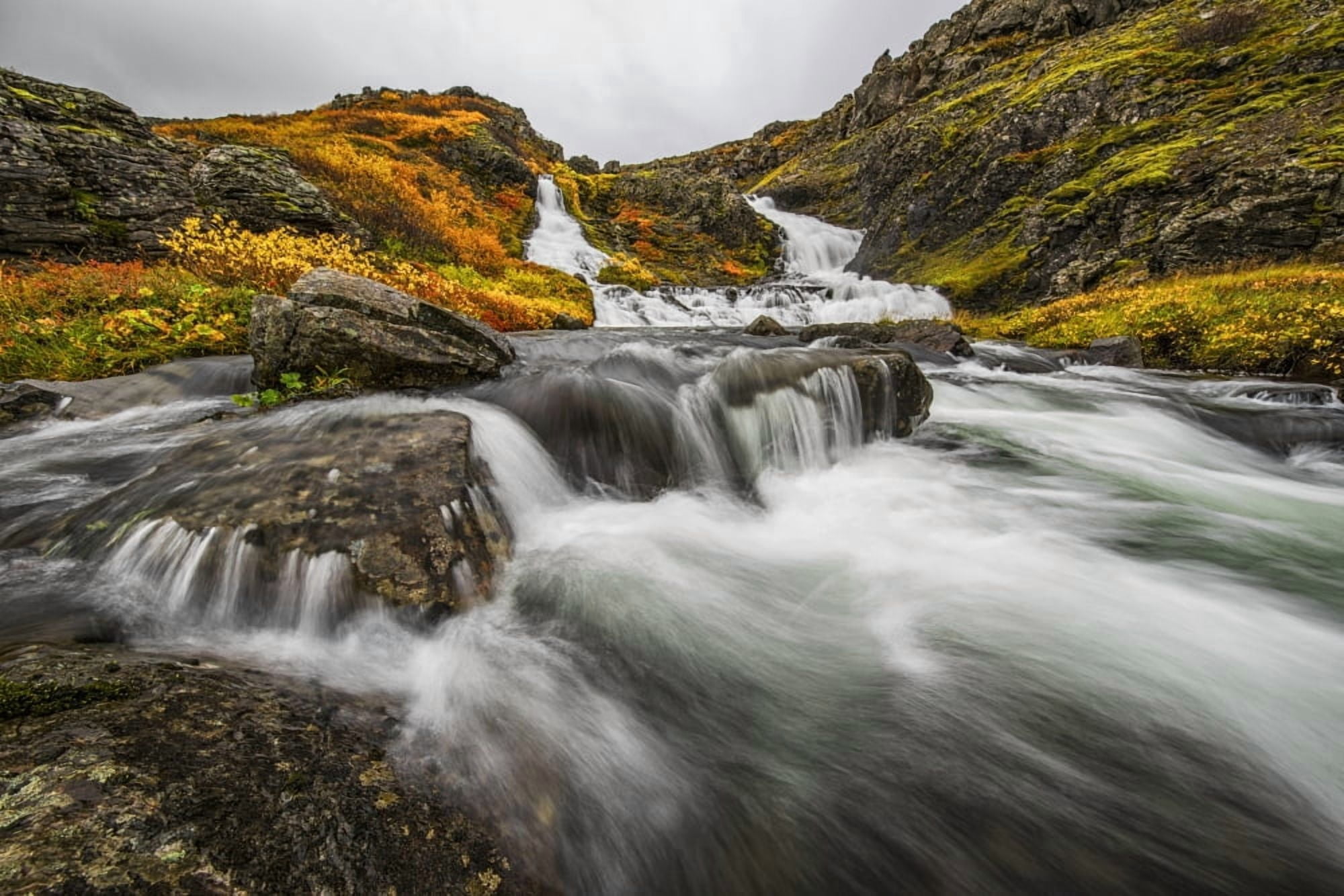 A stream flows past on the West Fjords on its way to the ocean Iceland Canvas Art - Robert Postma Design Pics (38 x 24)