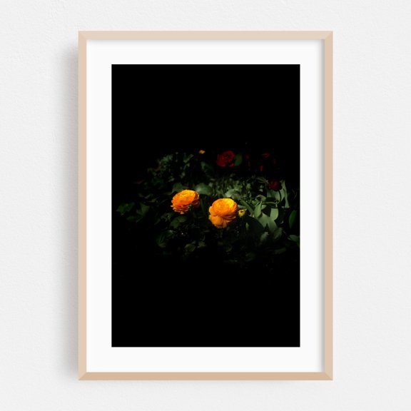 A strip of light - Photography Floral Flowers Botanical Garden Nature Moody Scenic Oak Framed Wall Art Print 5 x 7 inches