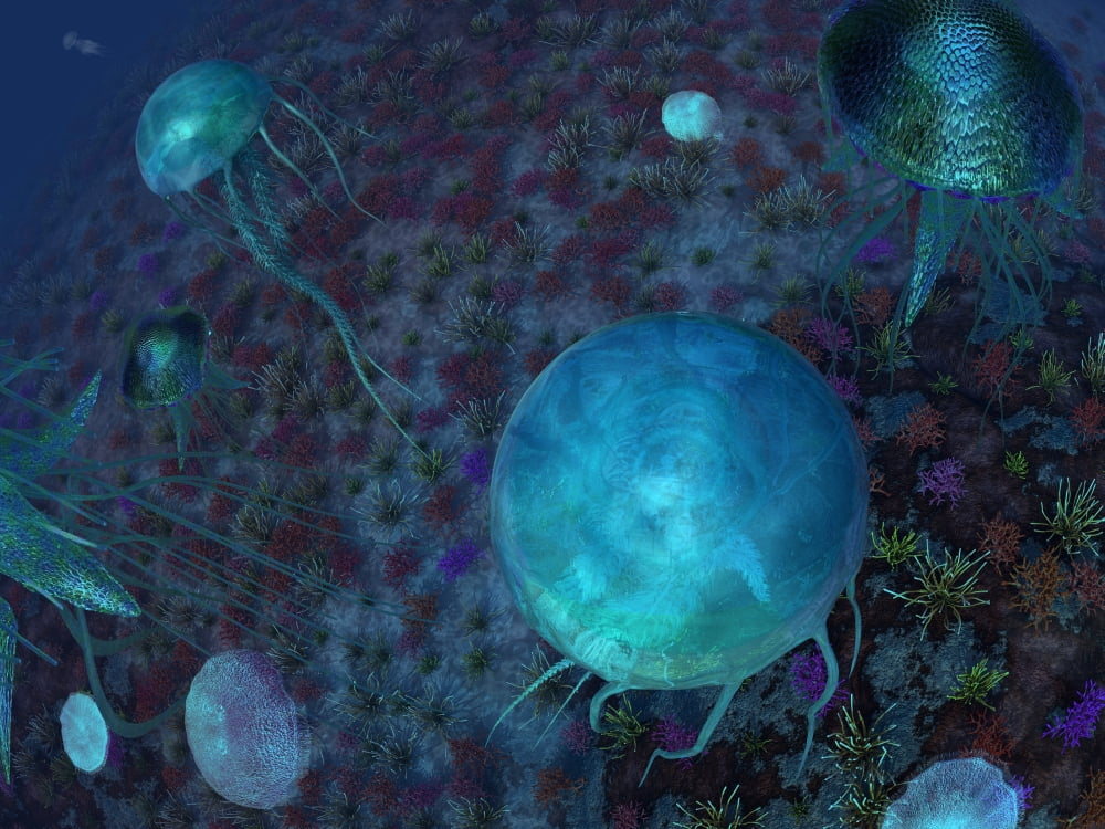 A swarm of jellyfish swim the Panthalassic Ocean Canvas Art - Walter MyersStocktrek Images (17 x 13)
