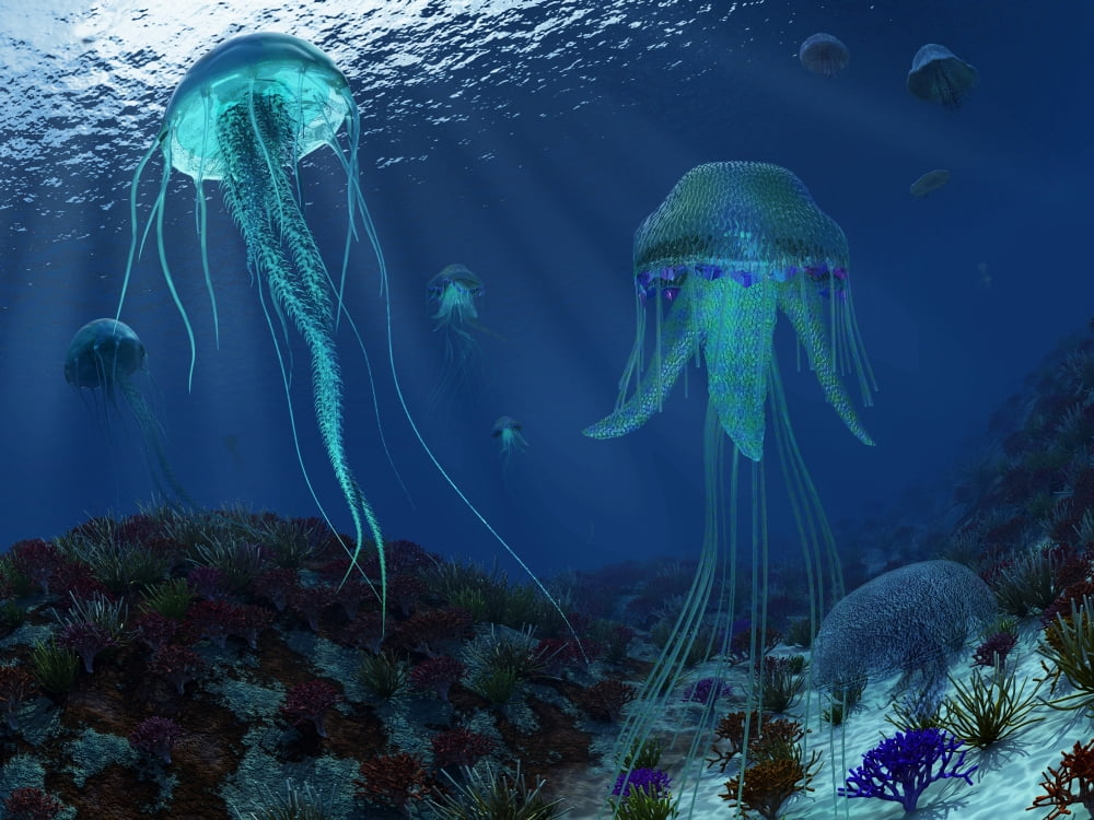A swarm of jellyfish swim the Panthalassic Ocean Canvas Art - Walter MyersStocktrek Images (33 x 25)