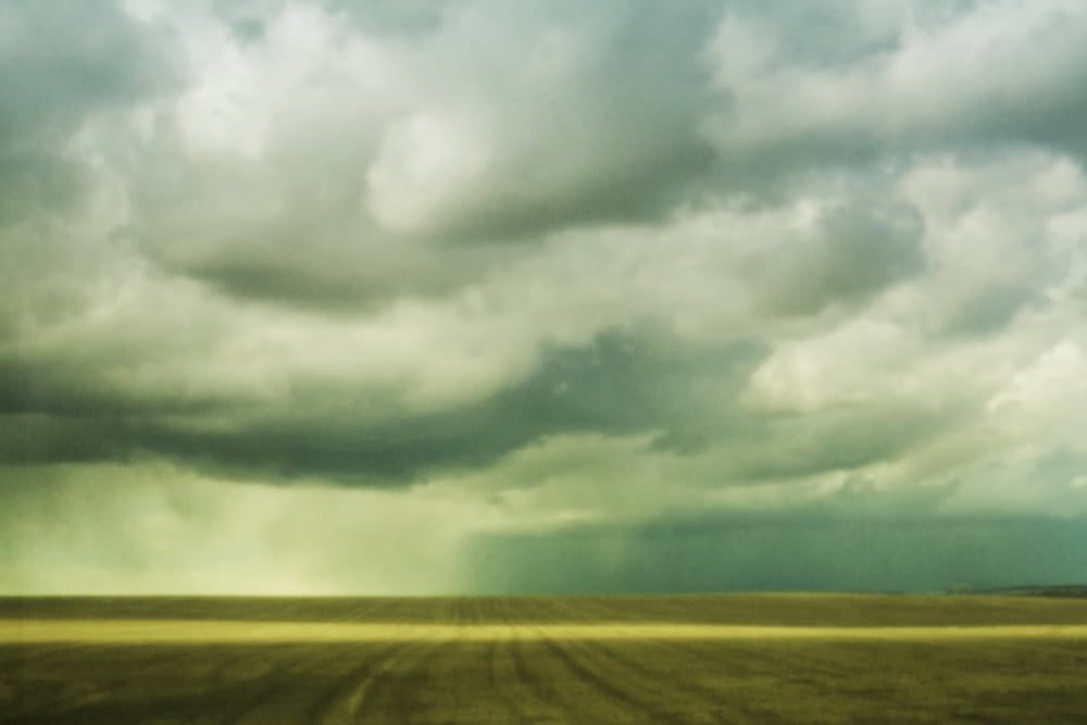 A swath of sunlight on a prairie field during a spring shower Alberta Canada Canvas Art - Roberta Murray Design Pics (38 x 24)