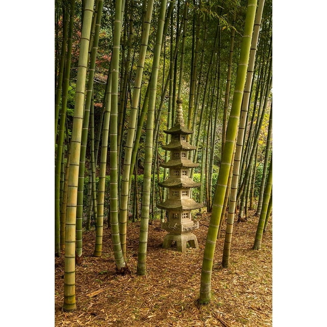 A tall pagoda statue in the center of a tall bamboo grove-Akebonoyama Park-Japan by Sheila Haddad (24 x 36)