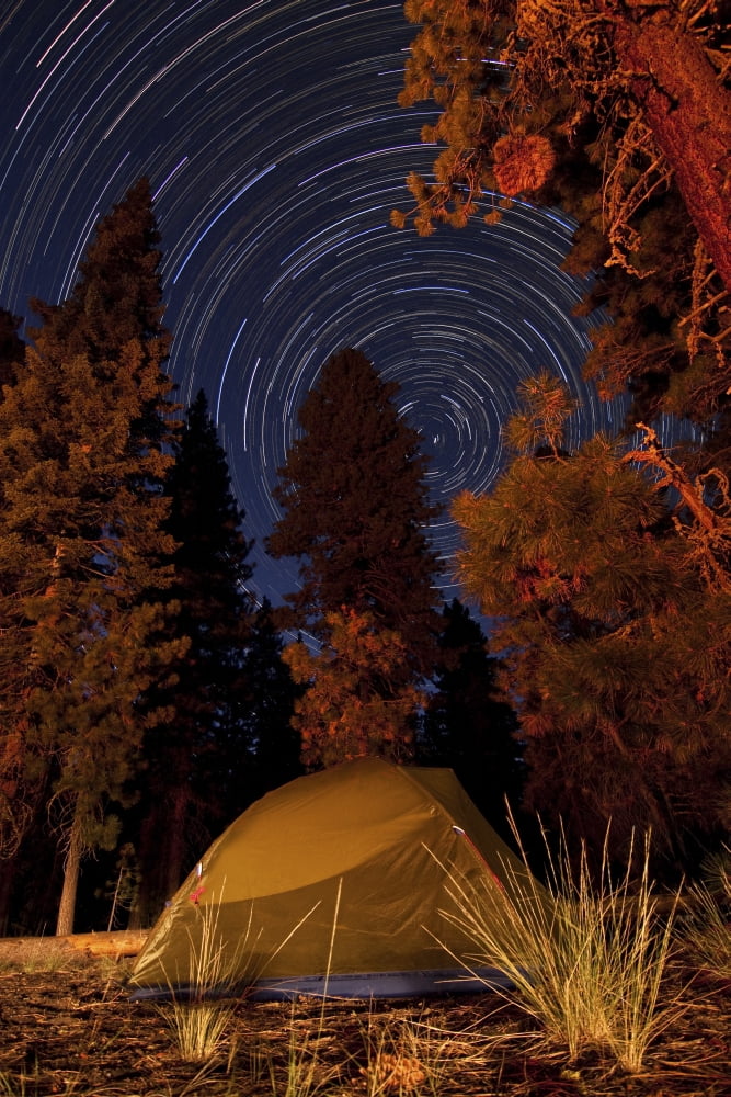 A tent and pine trees against a backdrop of star trails Canvas Art - Dan BarrStocktrek Images (12 x 18)