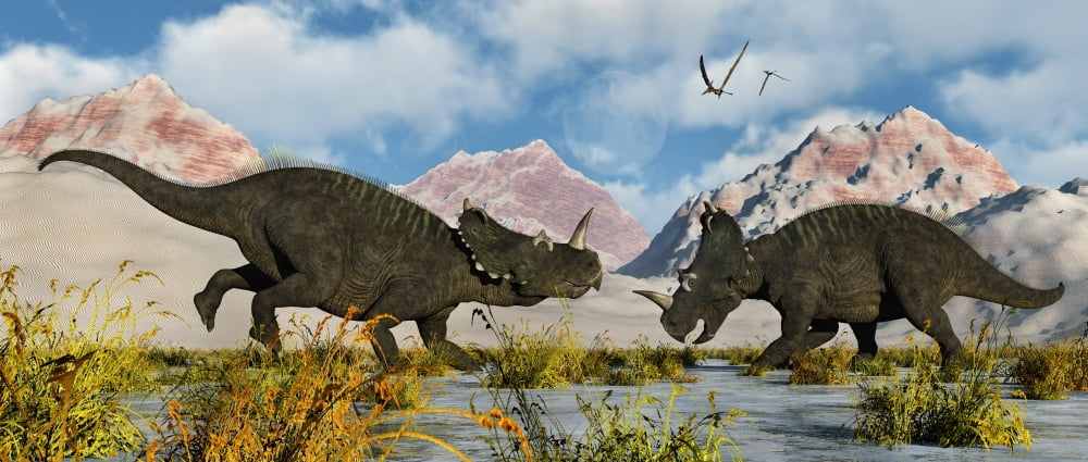 A territorial dispute between a pair of male Centrosaurus dinosaurs Canvas Art - Mark StevensonStocktrek Images (43 x 19)