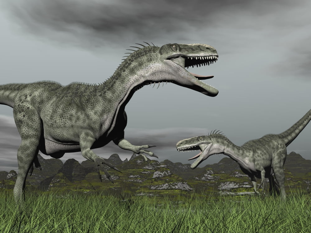 A territorial dispute between two Monolophosaurus dinosaurs Canvas Art - Elena DuvernayStocktrek Images (17 x 13)
