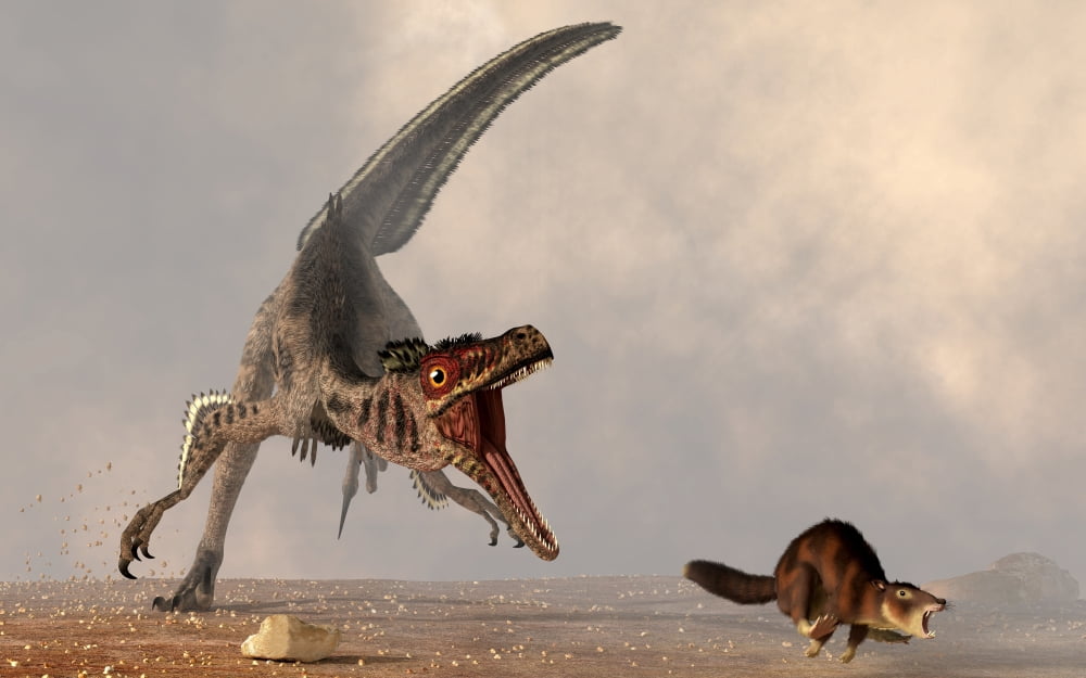 A velociraptor chasing a rat sized mammal Canvas Art - Daniel EskridgeStocktrek Images (36 x 23)