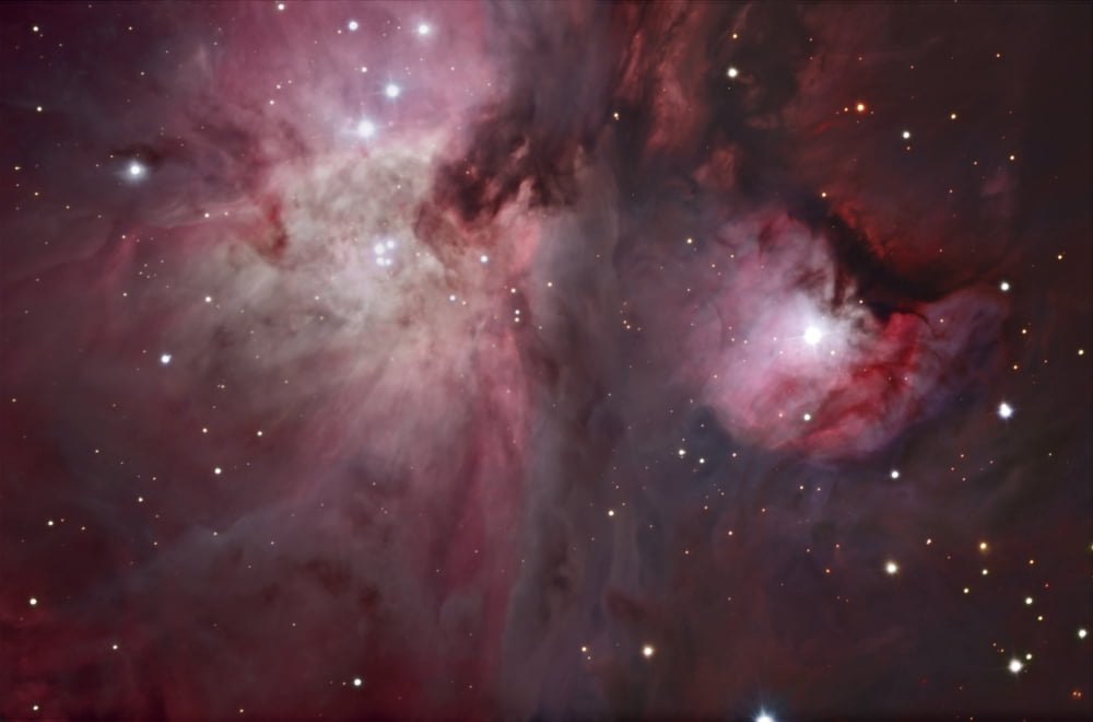 A view of the Trapezium region which lies in the heart of the Orion Nebula Canvas Art - Robert GendlerStocktrek Images (17 x 12)