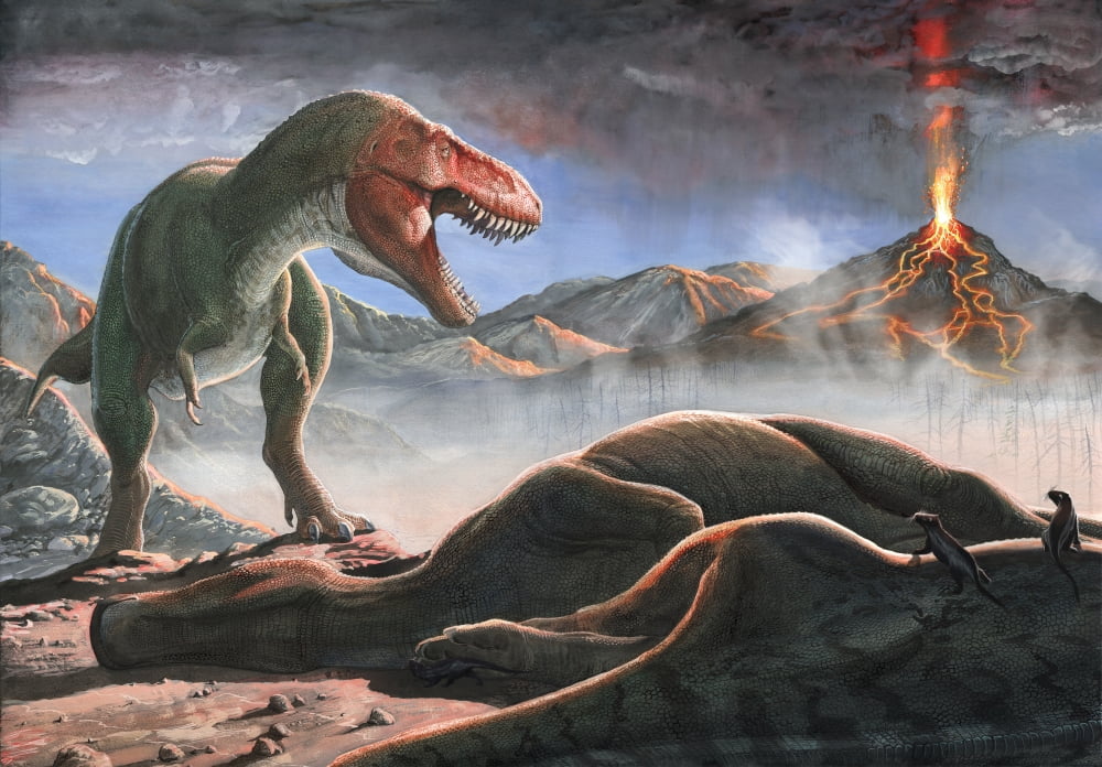 A volcanic eruption destroys the hunting grounds of Tyrannosaurus Rex Canvas Art - Sergey KrasovskiyStocktrek Images (34 x 24)