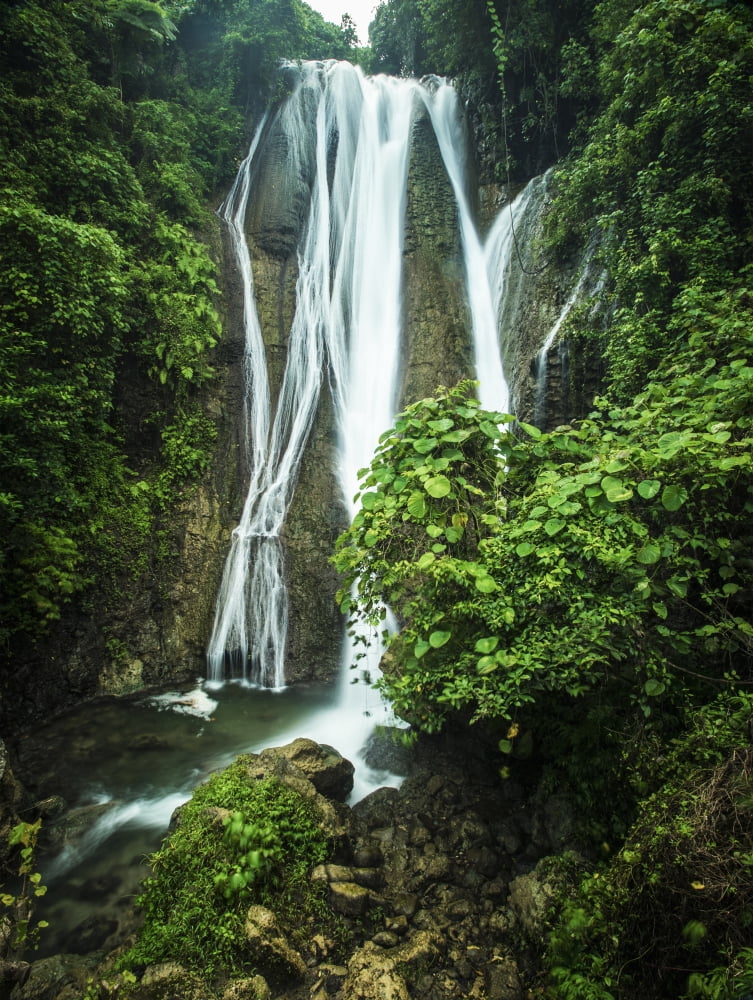 A waterfall and lush foliage Tanna Island Vanuatu Canvas Art - David Kirkland Design Pics (13 x 17)