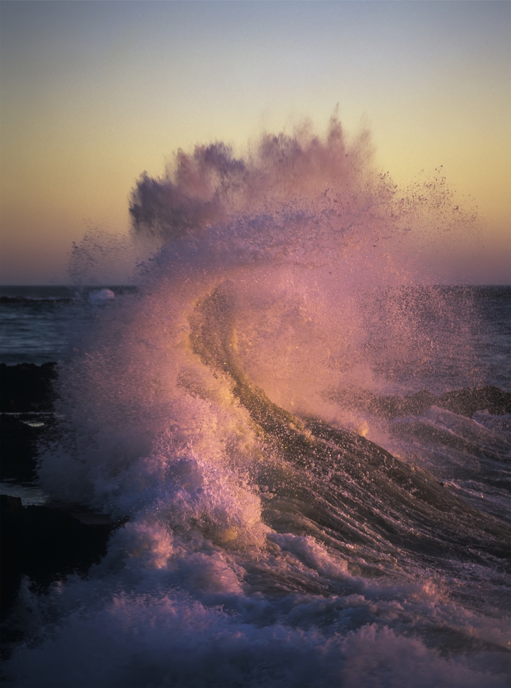 A wave glowing pink breaks on the shore at sunset Yachats Oregon United States of America Canvas Art - Robert L Potts Design Pics (26 x 36)