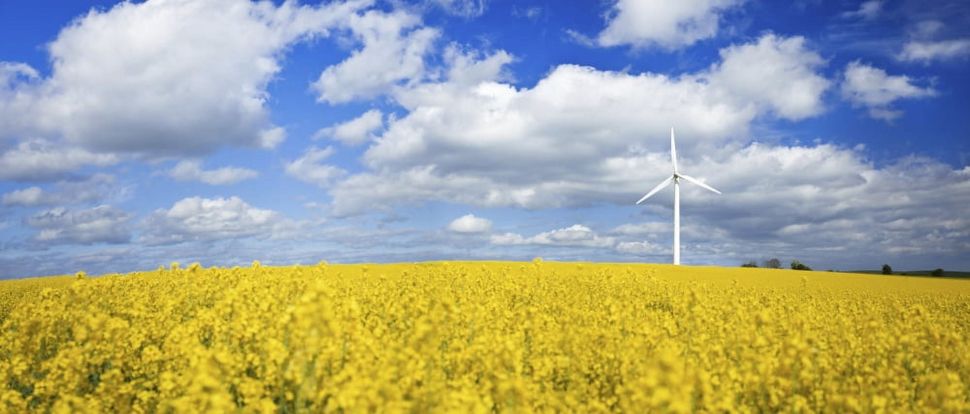 A wind turbine in a canola field against cloudy sky Denmark Canvas Art - Evgeny KuklevStocktrek Images (22 x 10)