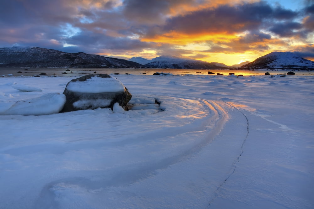 A winter sunset over Tjeldsundet at Evenskjer Troms County Norway Canvas Art - Arild HeitmannStocktrek Images (34 x 23)