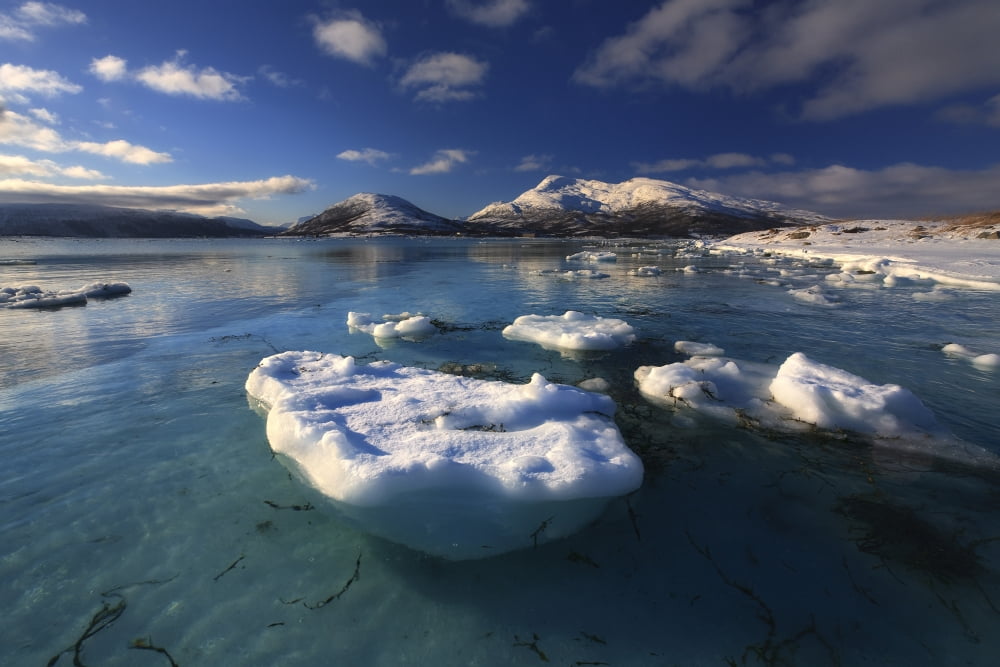 A winter view looking out in Tjeldsundet strait Norway Canvas Art - Arild HeitmannStocktrek Images (18 x 12)